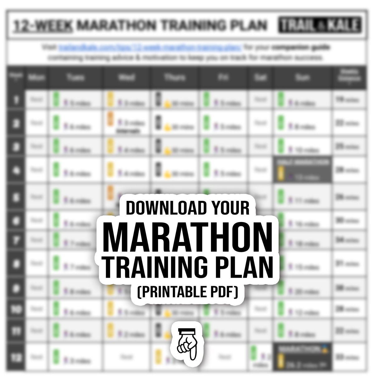 12 WEEK MARATHON TRAINING PLAN TRAIL KALE - This 12-week marathon training plan is an intermediate-to-experienced program designed for runners who are already running regularly and can comfortably run 6 miles (10k) non-stop. This training plan will get you ready to run a marathon in just 3 months.