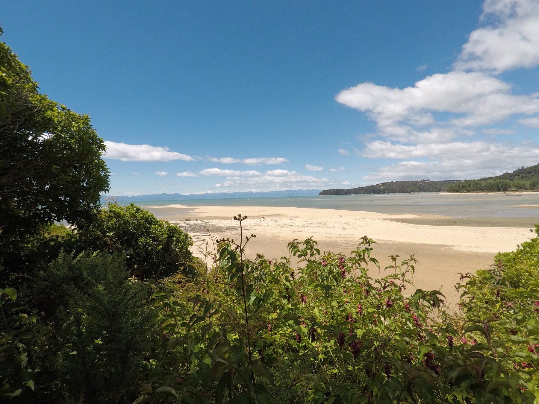 Running the Abel Tasman Coastal Track - New Zealand - Trail and Kale
