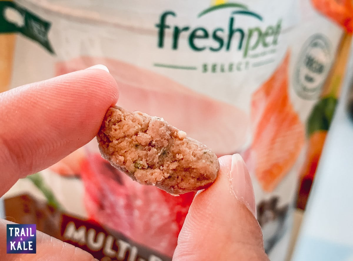 Accelerating our puppys training using high value dog food Freshpet trail and kale web wm 1 2 Accelerating our puppys training using high value dog food Freshpet trail and kale web wm 1 2