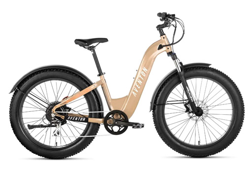 Aventure Step through SoCal Sand 5