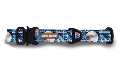 Banded Pines Best Fi Compatible Dog Collars