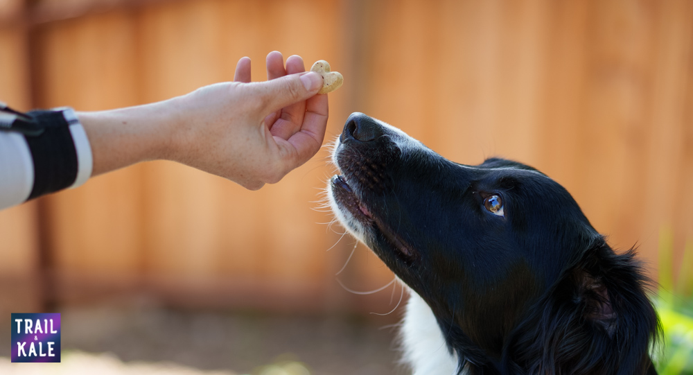 Because Animals Review Trail and Kale web wm 11