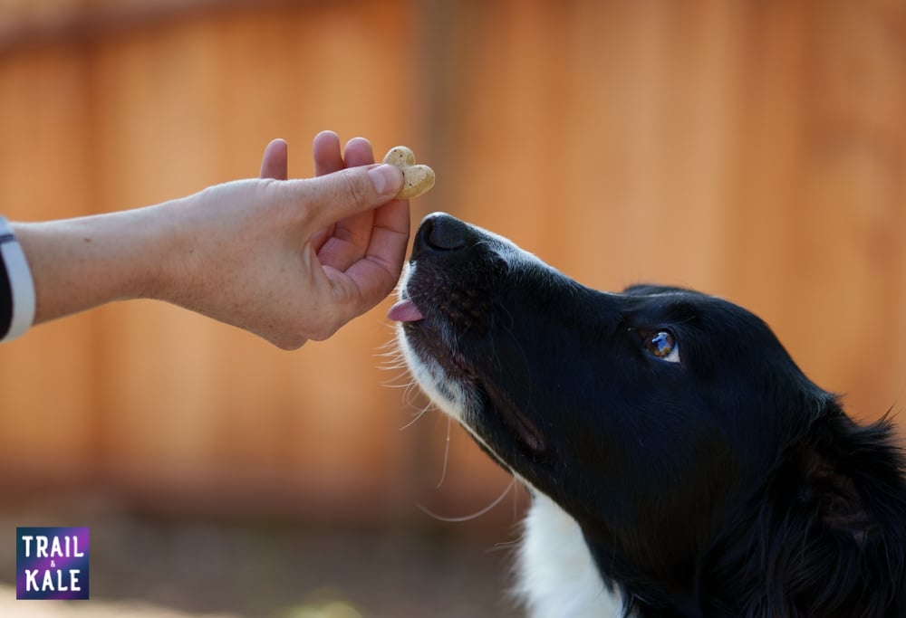 Because Animals Review Trail and Kale web wm 12