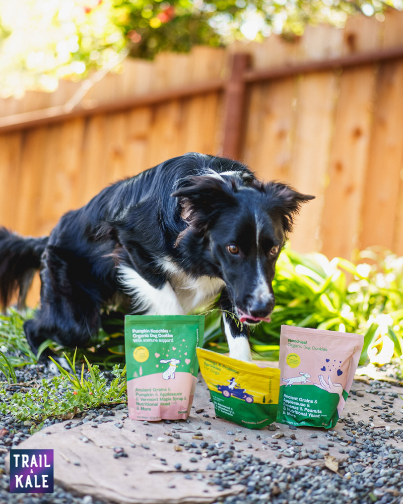 Because Animals Review Trail and Kale web wm 2