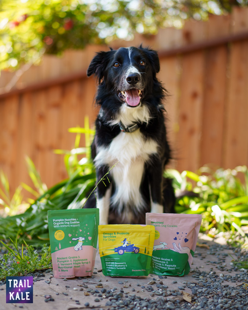 Because Animals Review Trail and Kale web wm 3