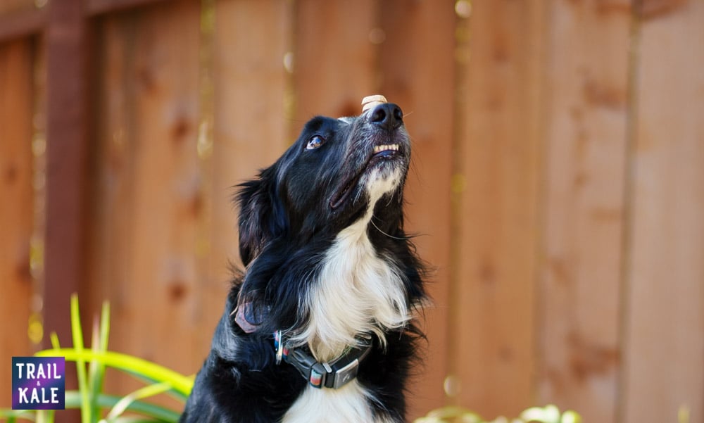 Because Animals Review Trail and Kale web wm 7