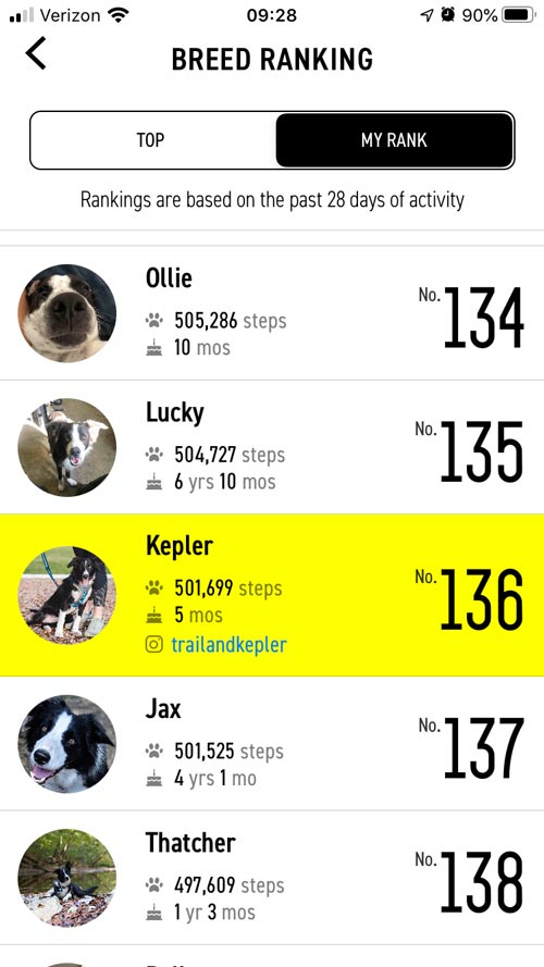 breed ranking overview Fi Collar review trail and kale