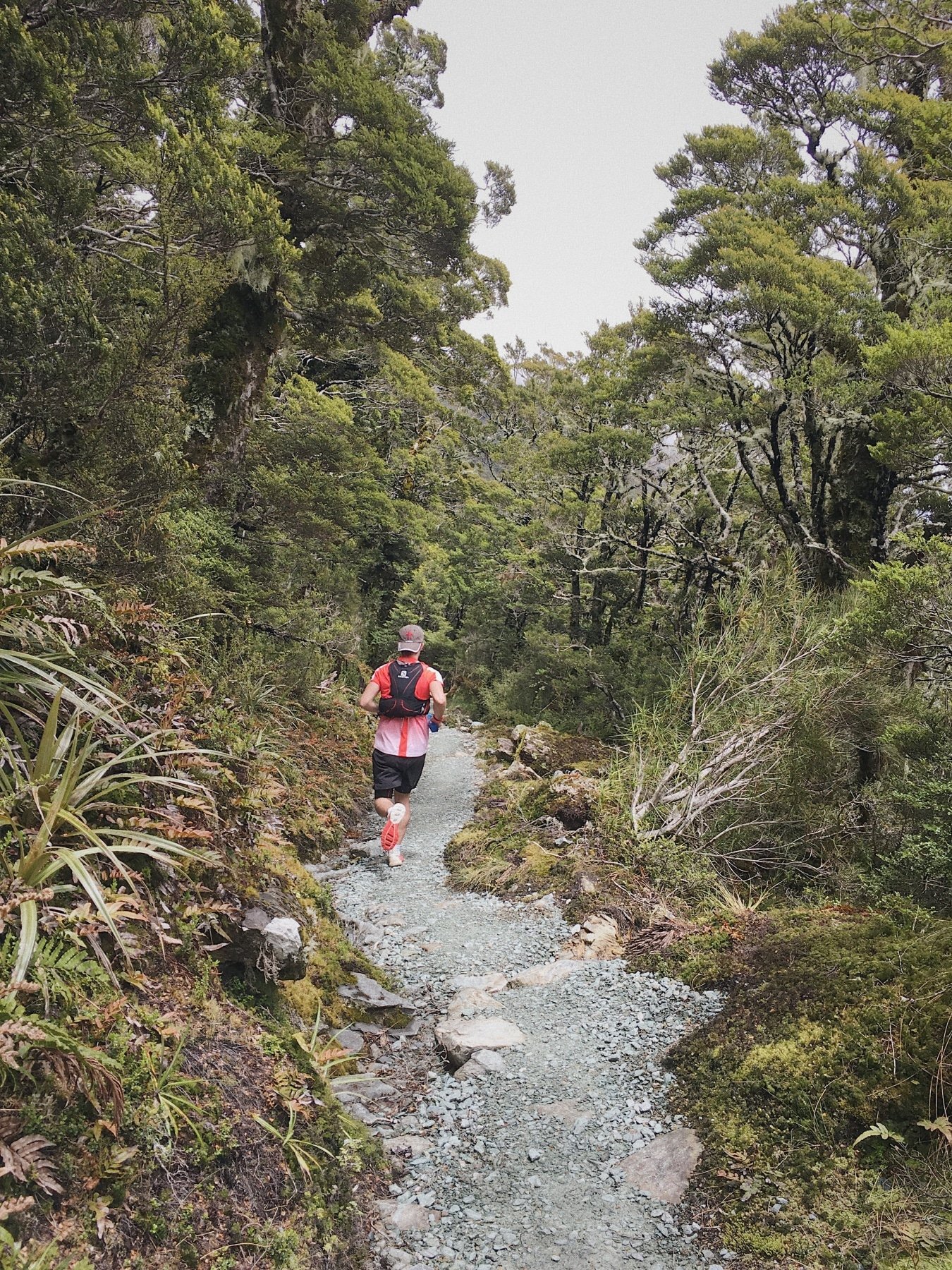 Running the Routeburn Track