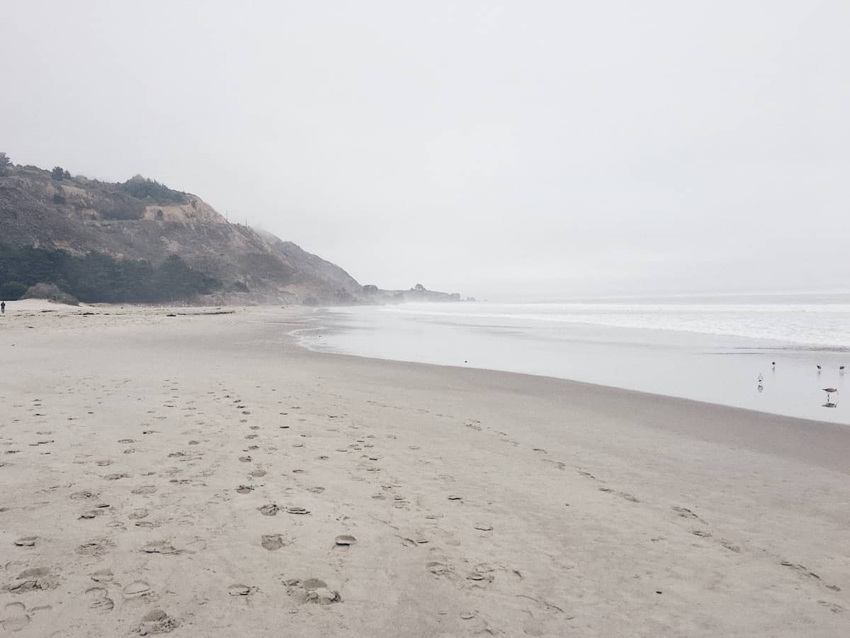 Its ok to Chill out - Trail & Kale