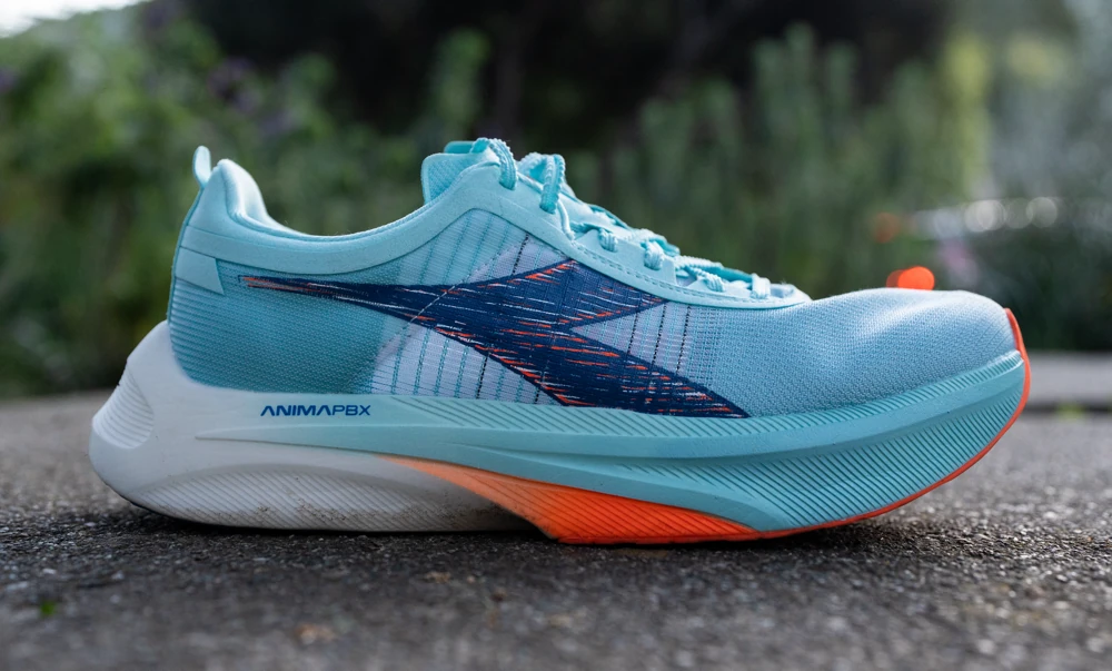 Diadora Gara Carbon 2