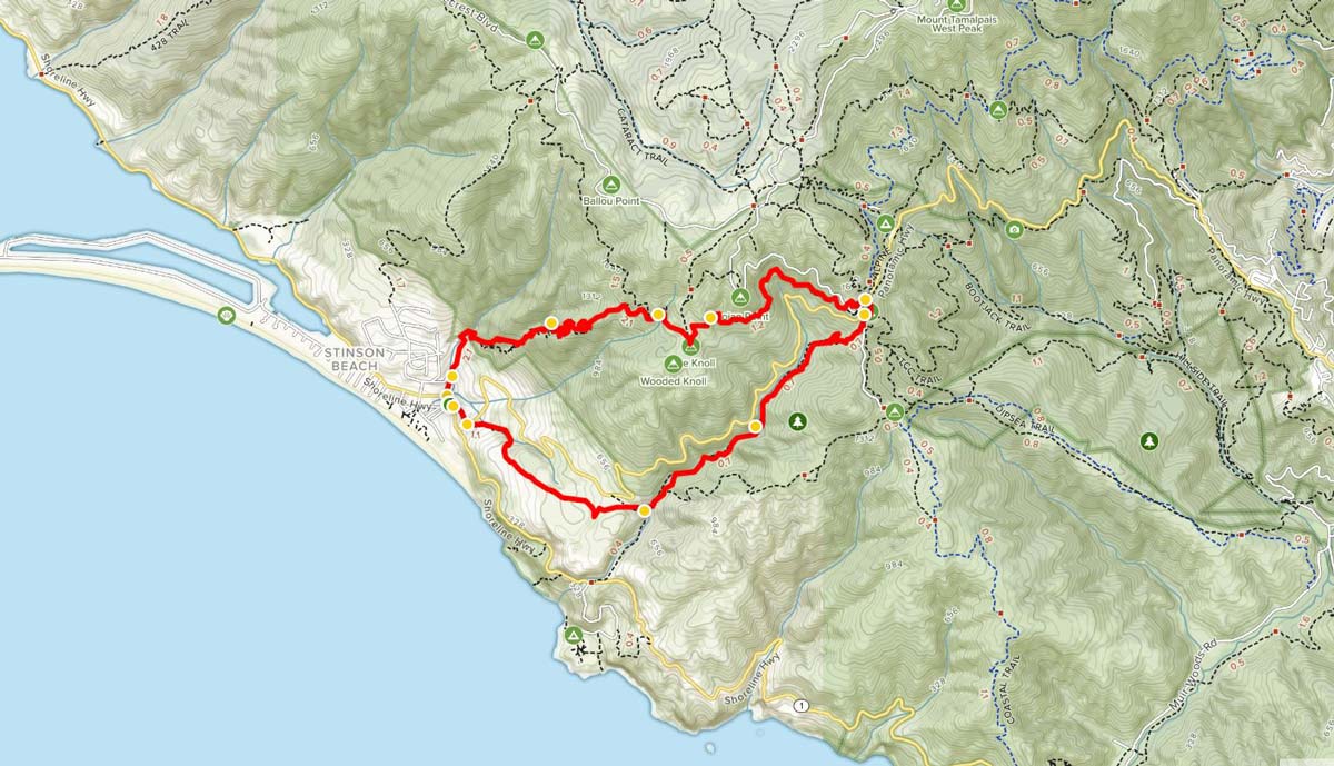 Dipsea Steep Ravine and Matt Davis Loop trail and kale
