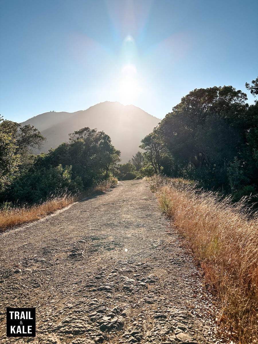 Dynafit Ultra 100 review 19