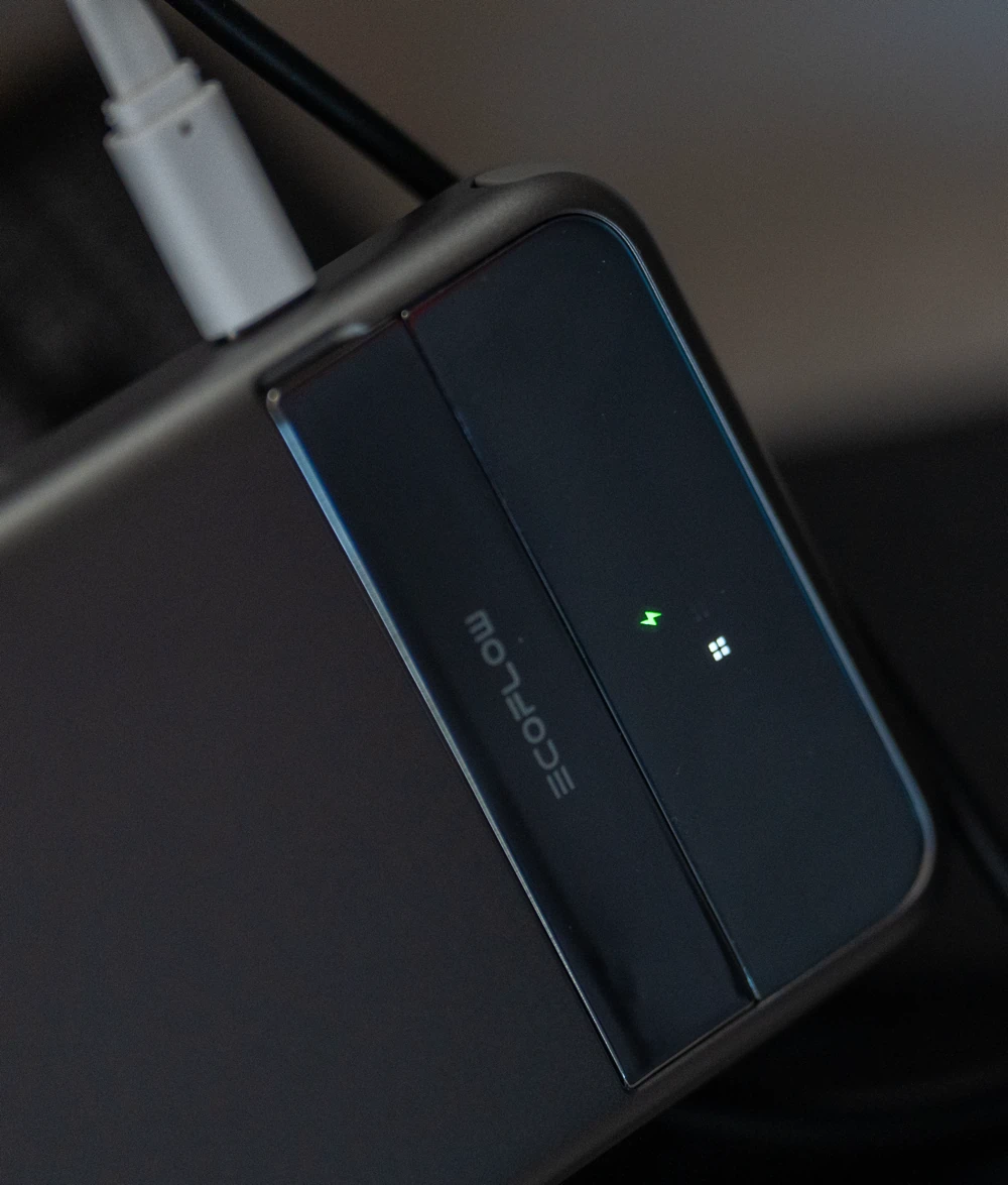 There's a charging indicator on the rear which tells you how much power is left in the bank and whether it's charging or not