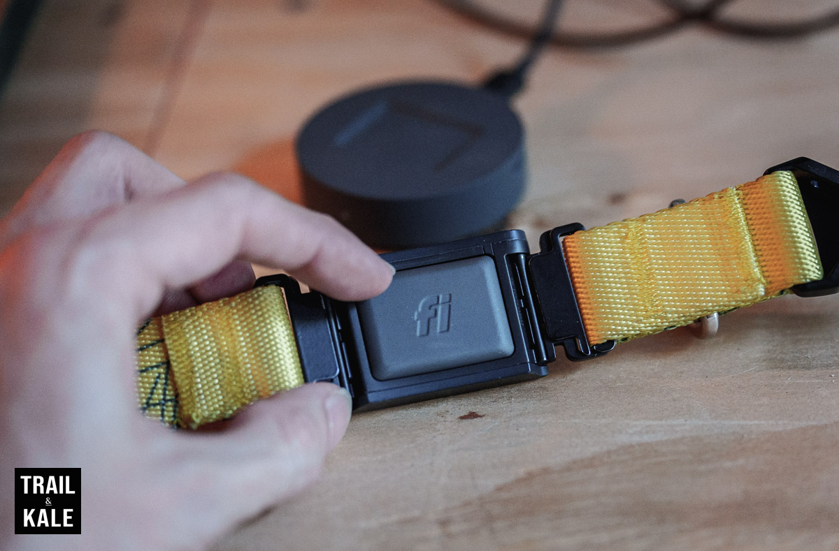 Fi Dog Collar Review Series 3 by Trail and Kale 47