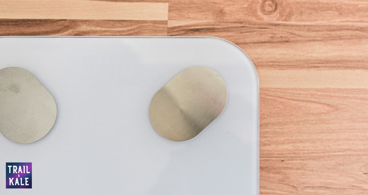 FitTrack Scale Review trail and kale web wm 4