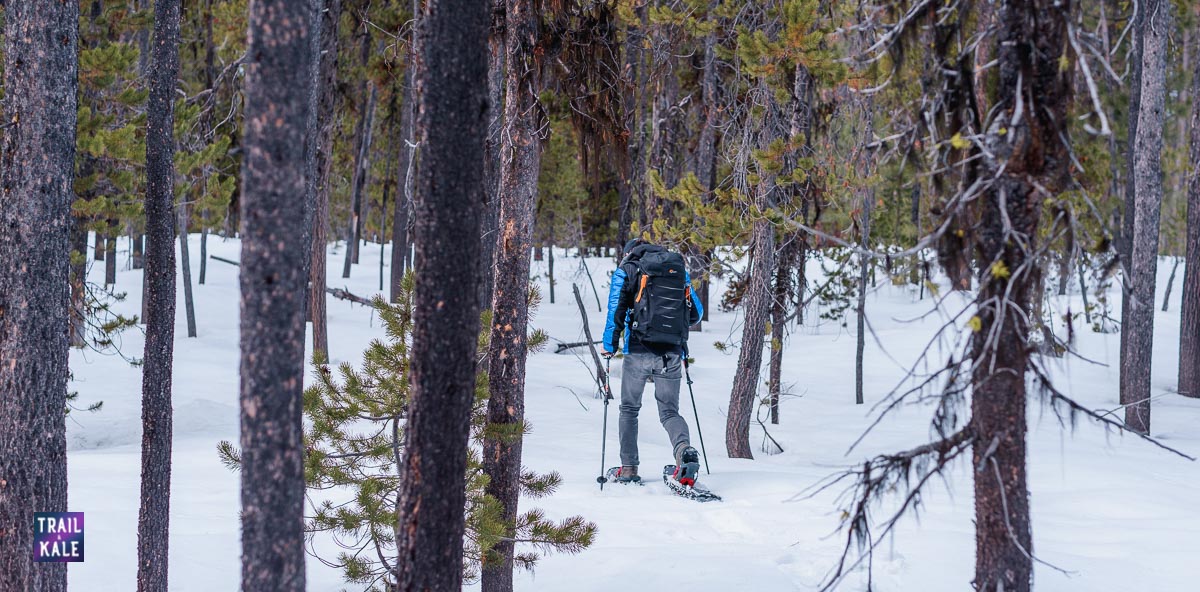 Guide to Snowshoeing For Beginners trail and kale wm 8