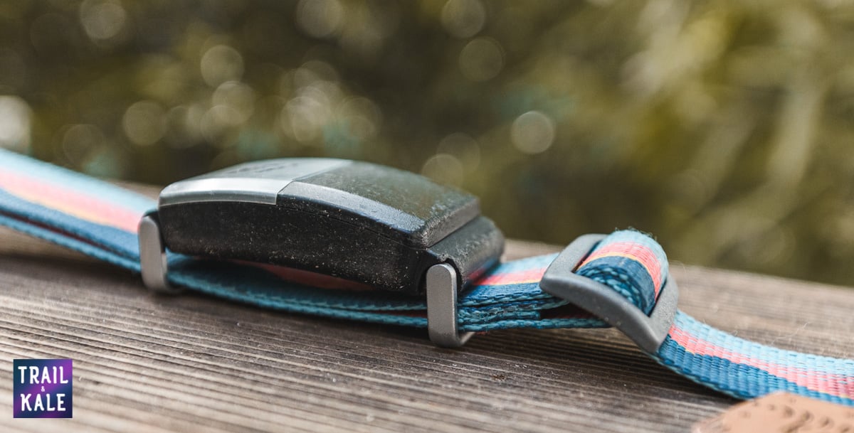 How To Use The Fi GPS Dog Collar With Other Collar Brands Like Ruffwear trail and kale web wm 2