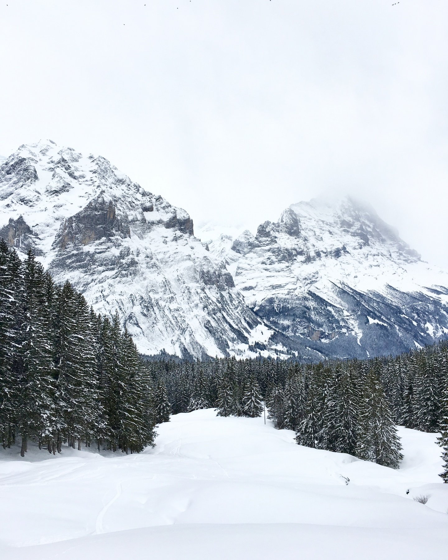 Ski touring Grindelwald