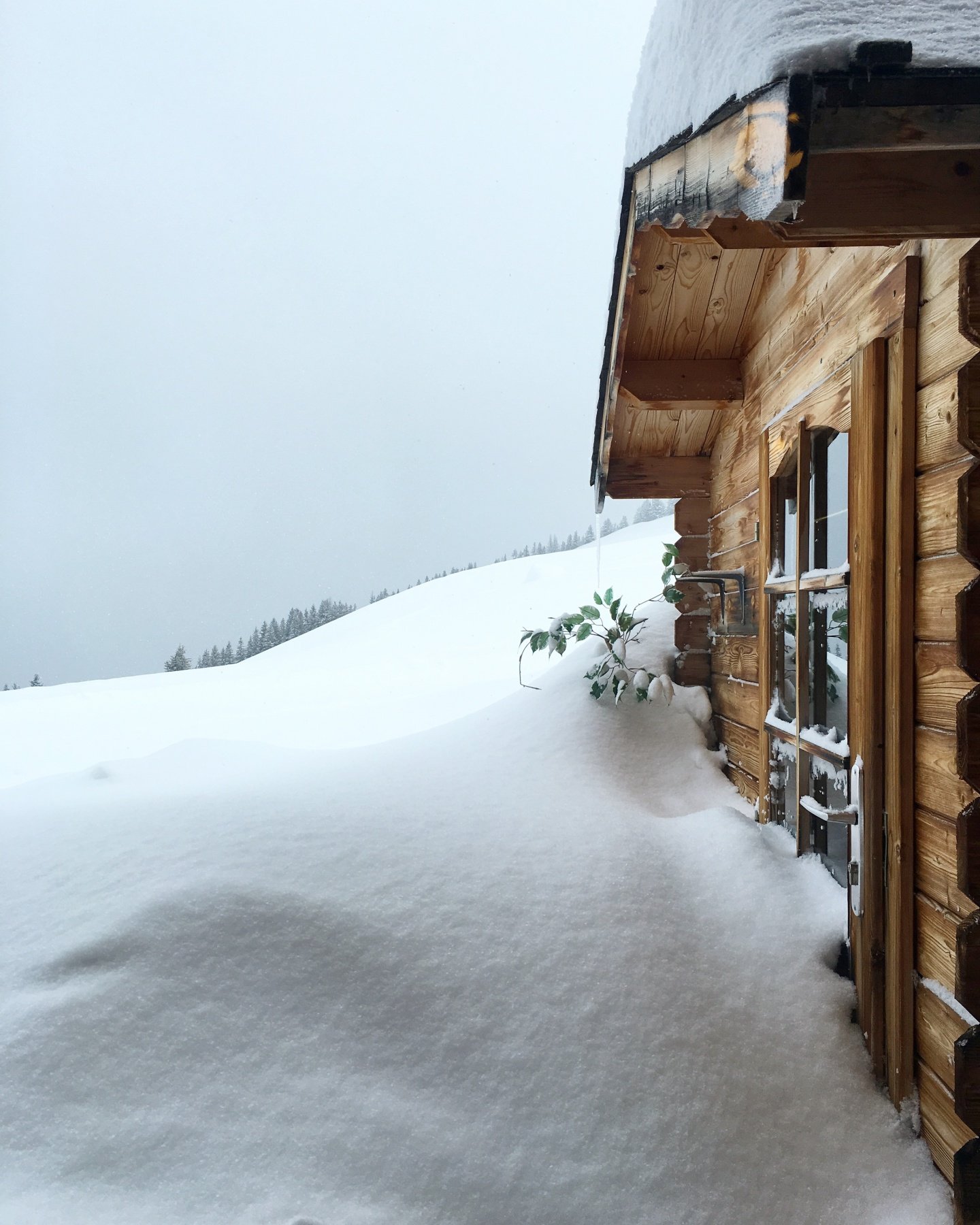 Ski touring Grindelwald