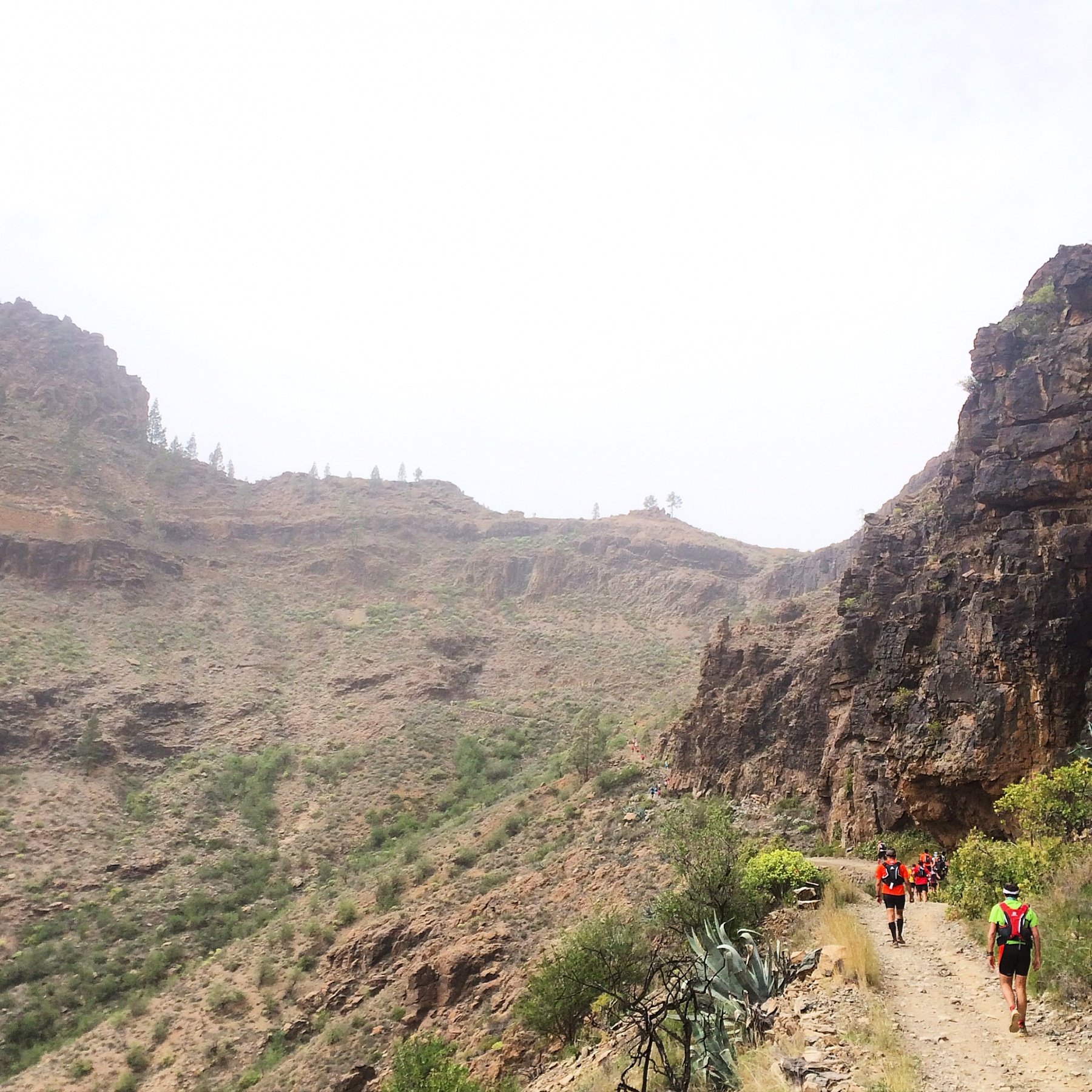 Out of the checkpoint, around the corner, and look, another big climb and tiny runners zig-zagging up the mountain in the distance...