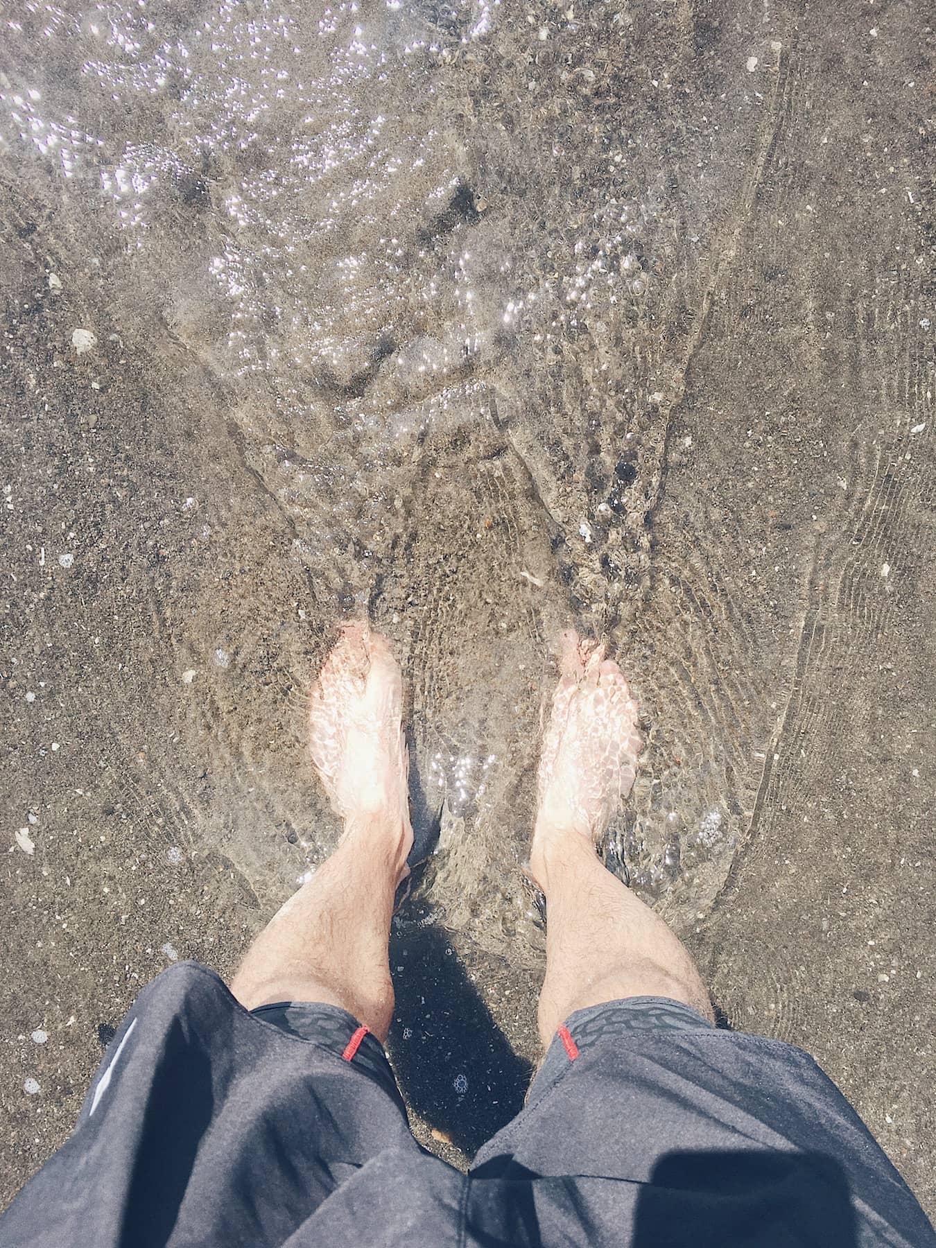 Trail Running on Mount Tamalpais - Trail & Kale