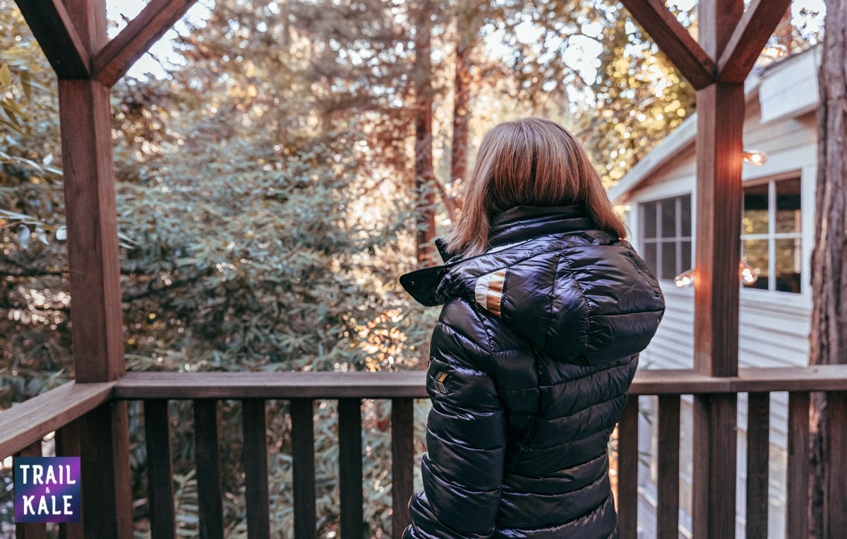 Jack1t Review trail and kale web wm 4