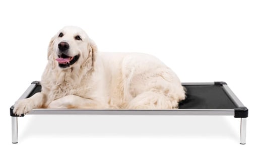 K9 Ballistics Chew Proof Dog Bed 2