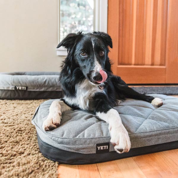 Austin & Kat Interview - Trail and Kale