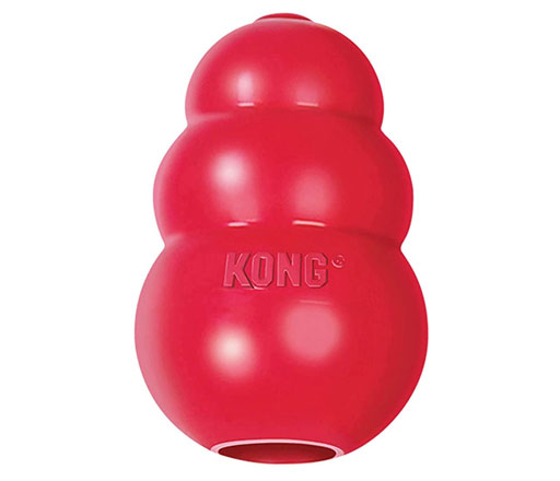 Kong Dog Chew Toy