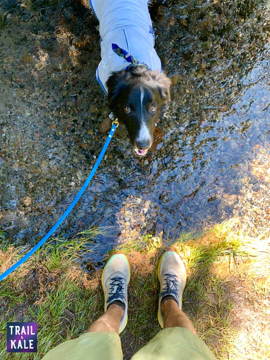 Kurgo Cooling Vest Review Trail kale web wm 2