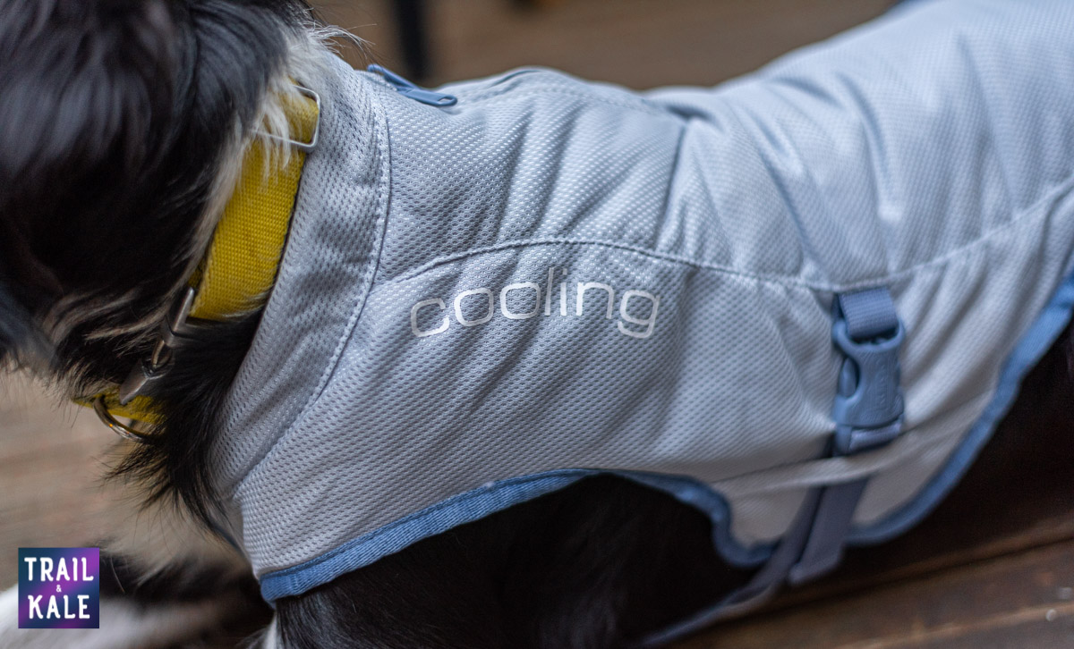 Kurgo Cooling Vest Review Trail kale web wm 6