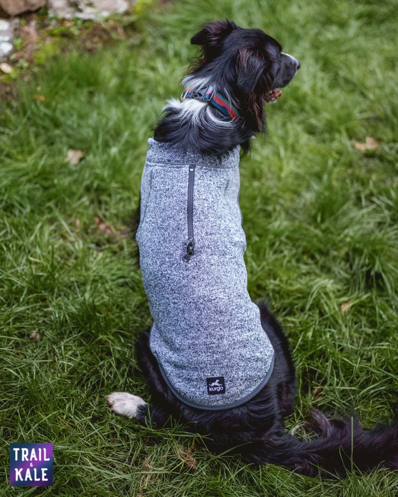 Kurgo K9 Core Sweater Review Trail and Kale web wm 4