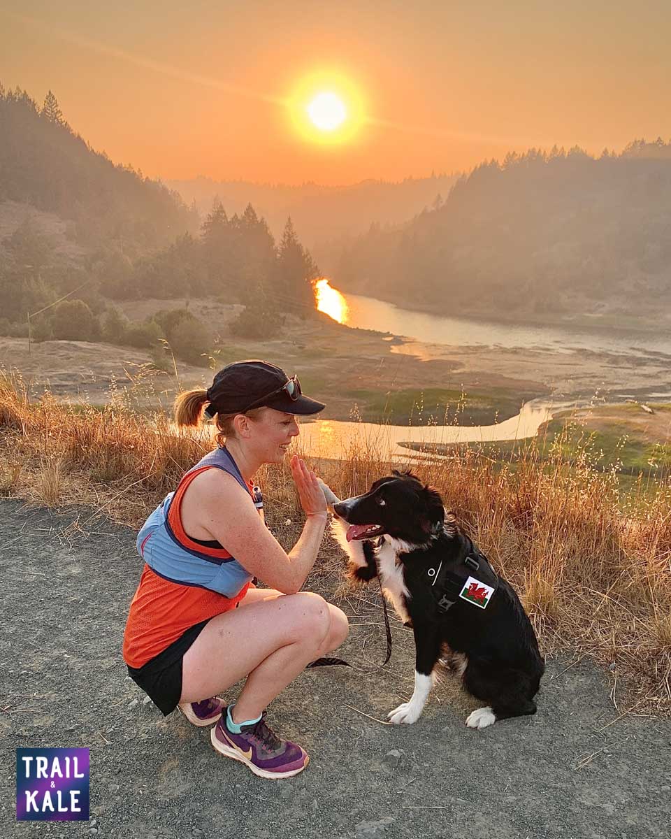 Kurgo Townie Harness Review trail and kale web wm 1 copy