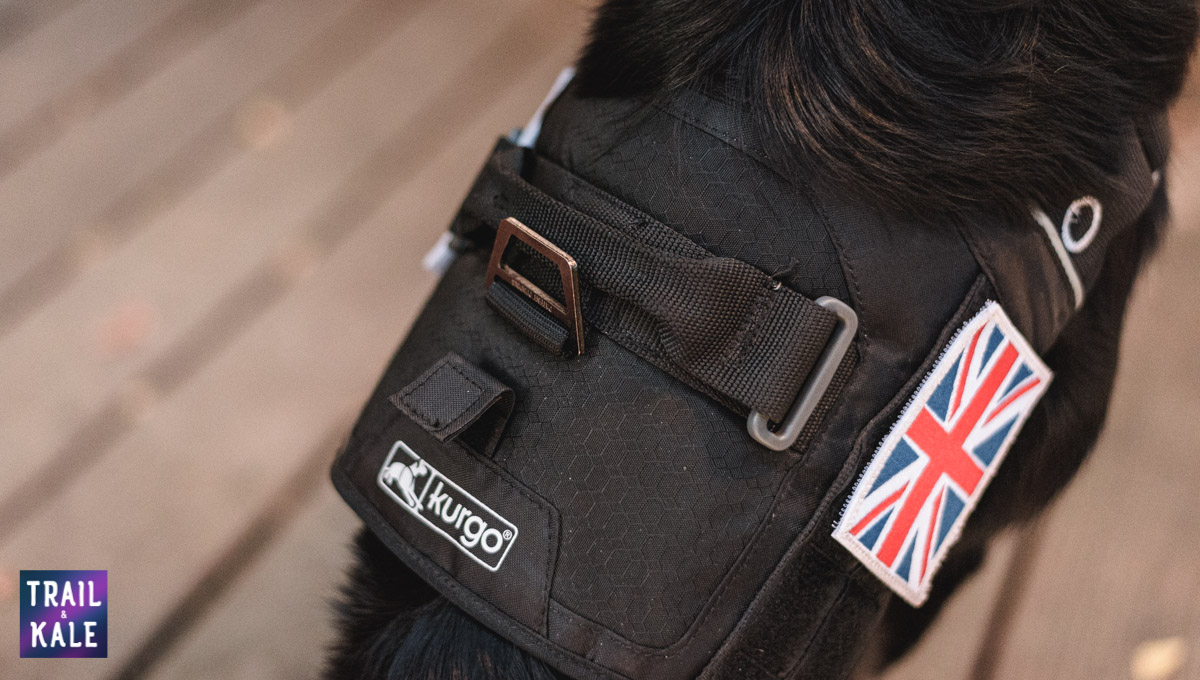 Kurgo Townie Harness Review trail and kale web wm 12