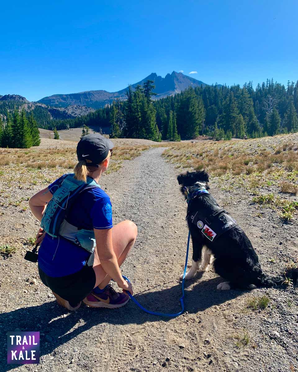 Kurgo Townie Harness Review trail and kale web wm 2 1