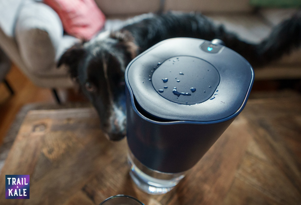 LARQ Pitcher Review purifier and water pitcher for hoe use Trail and Kale web wm 8