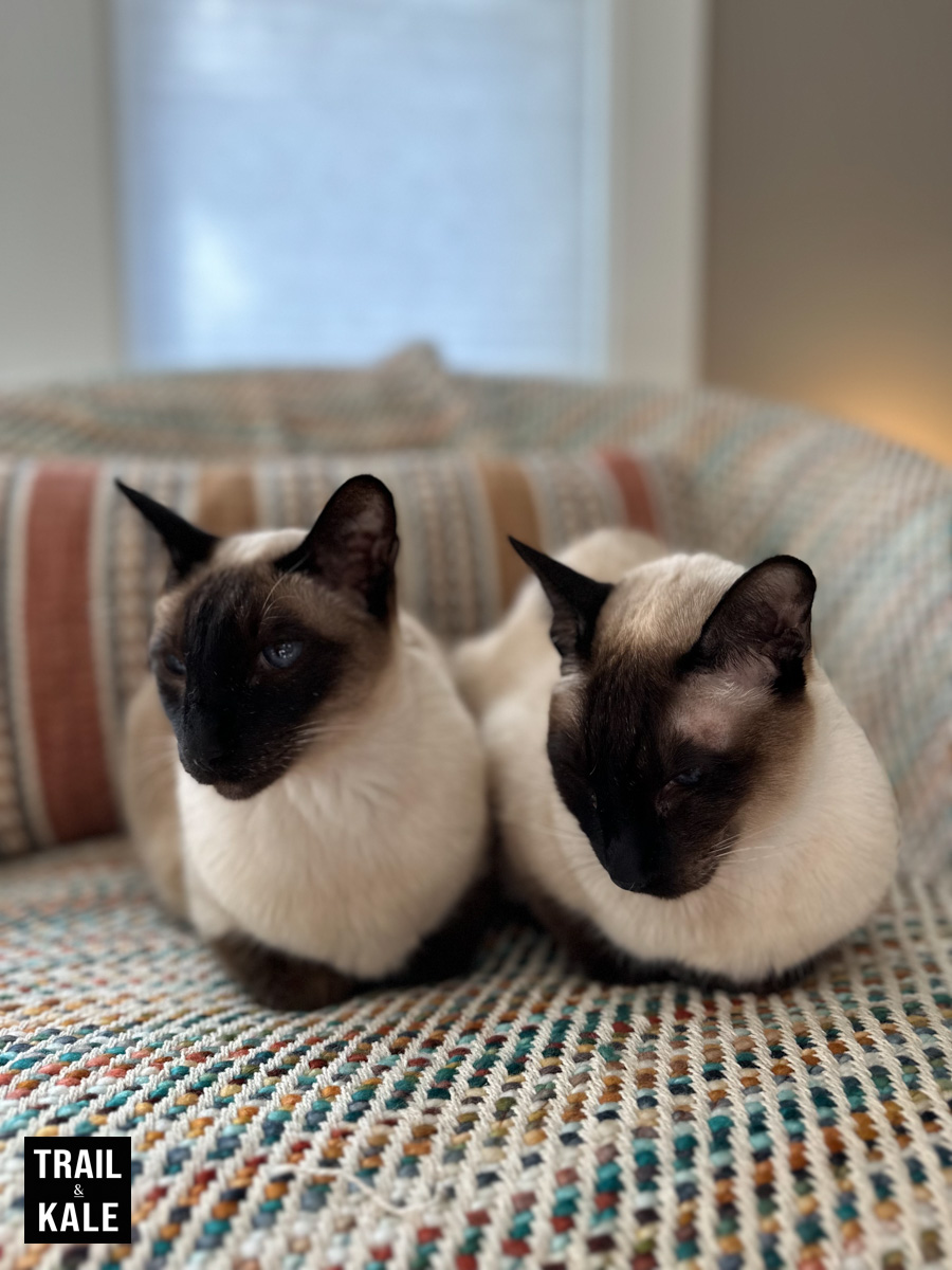 Litter Robot 4 iPhone photos Trail and Kale 6