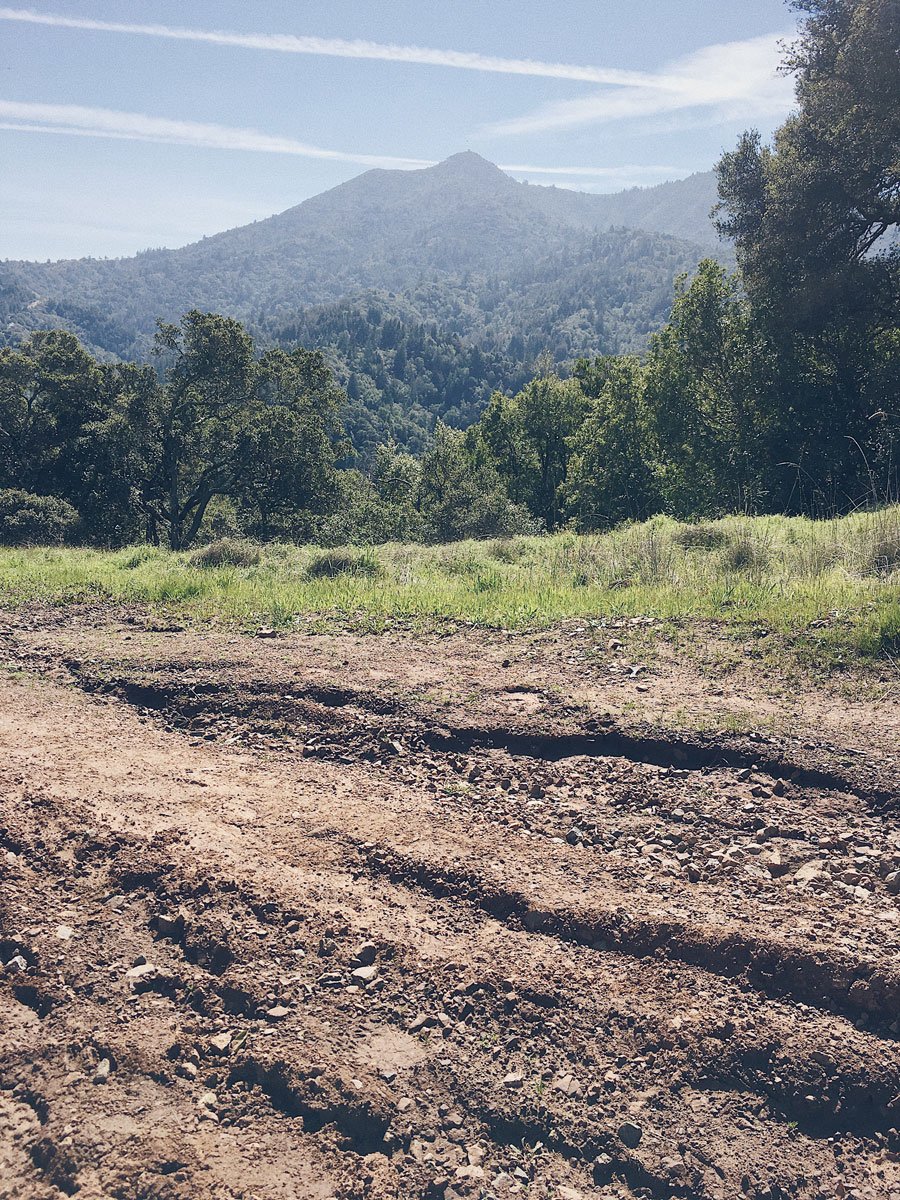 Merrell Agility Peak Flex 2 Review - Trail & Kale