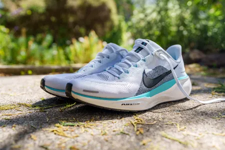 Nike Pegasus 41 [Best Daily Trainer]