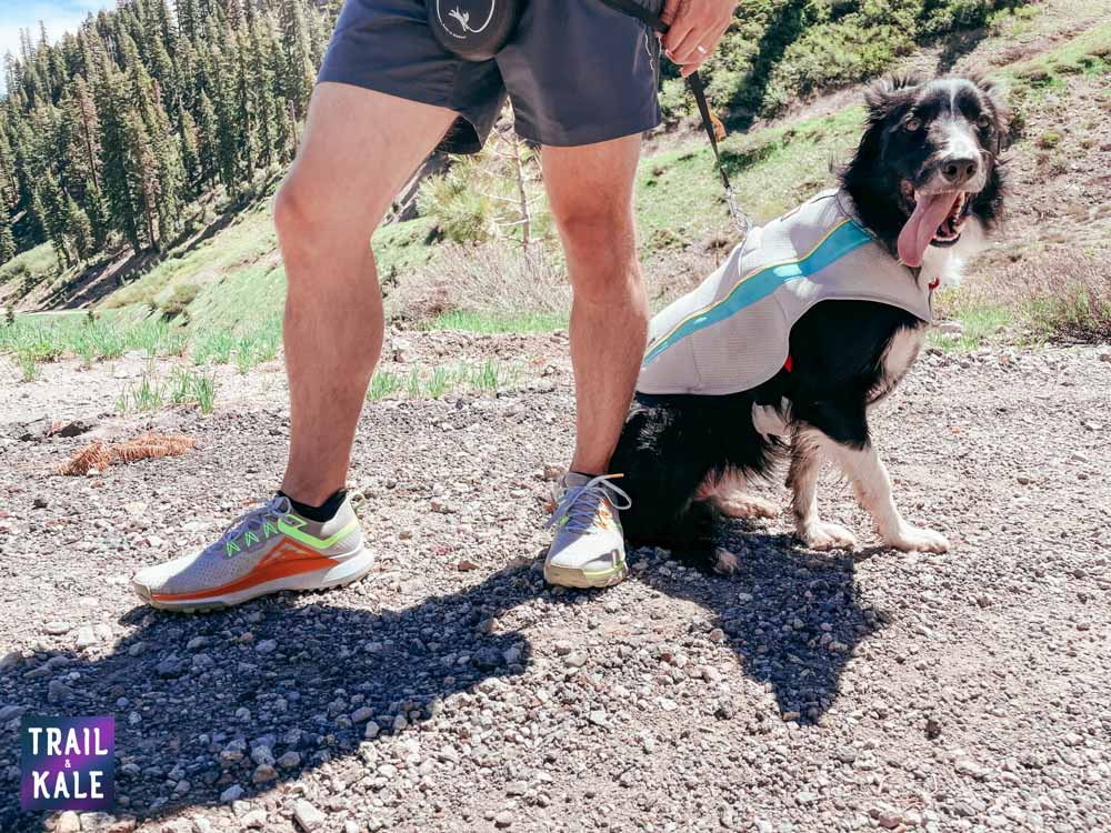 Nike Pegasus Trail 4 Review Trail and Kale web wm 2 1