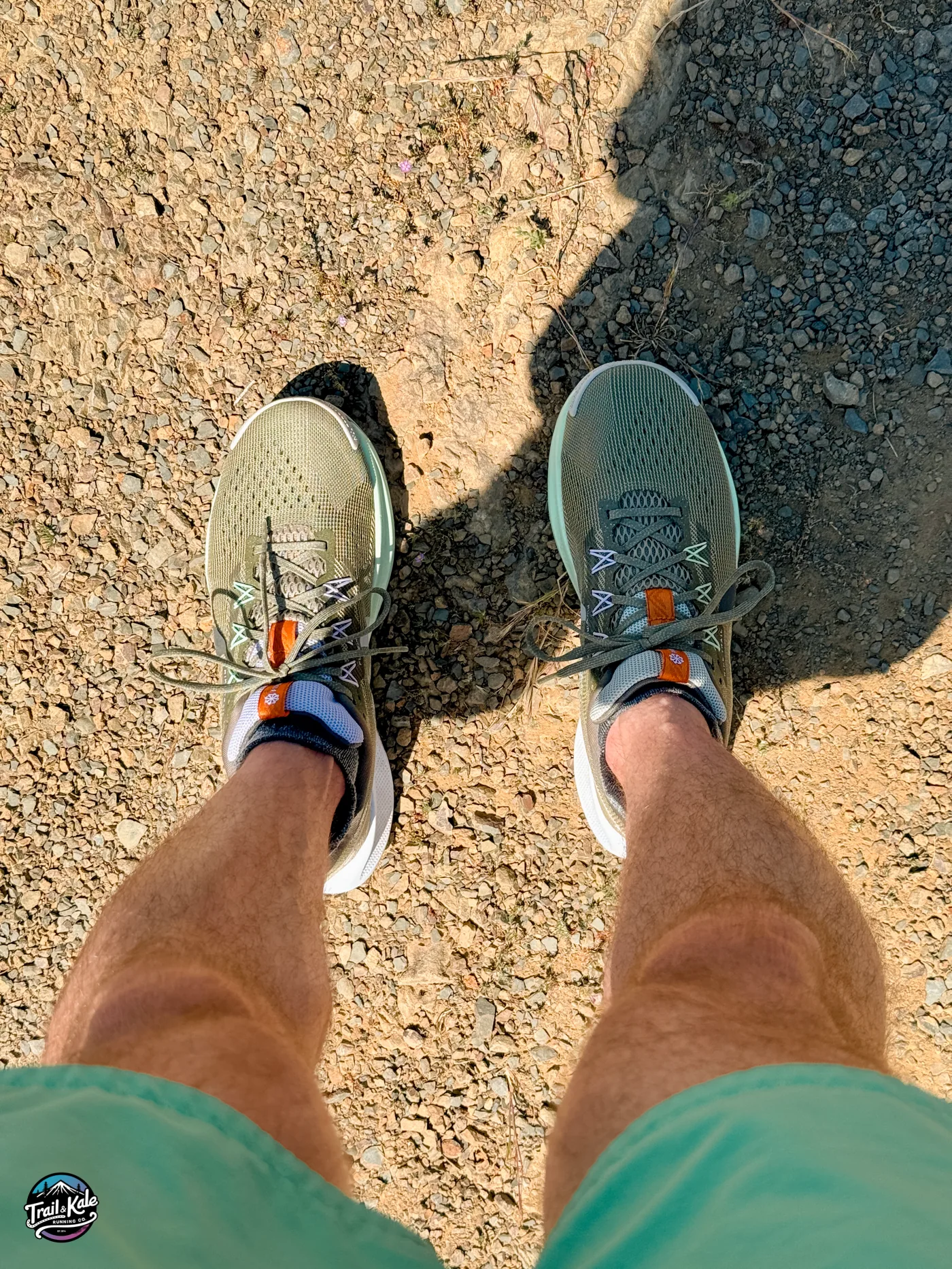  the Nike Pegasus Trail 5 excels as an all-terrain road/trail transition shoe suitable for most runners in most circumstances.