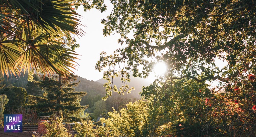 Olukai Sandals Review Trail and Kale web wm 15