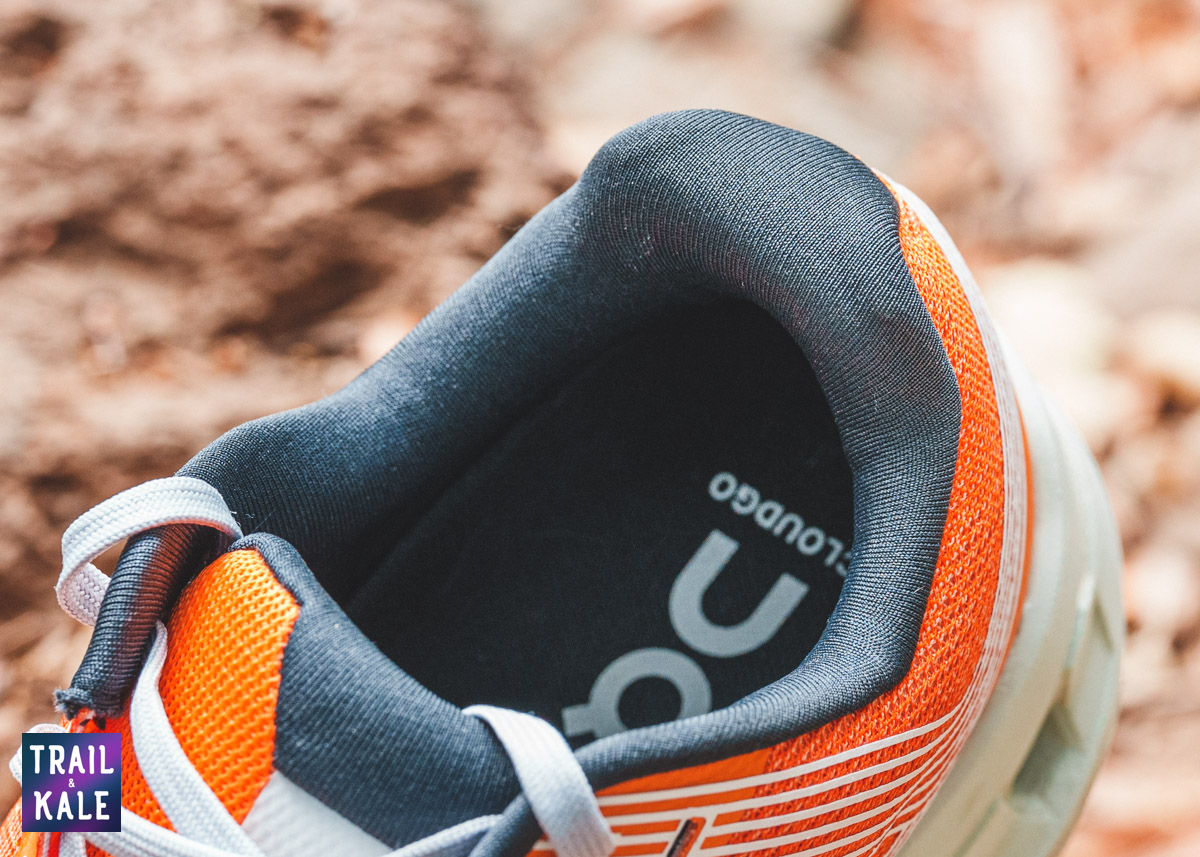 On Cloudgo Review Trail and Kale 13