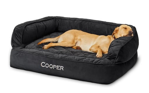 Orvis Memory Foam Dog Couch Bed 2