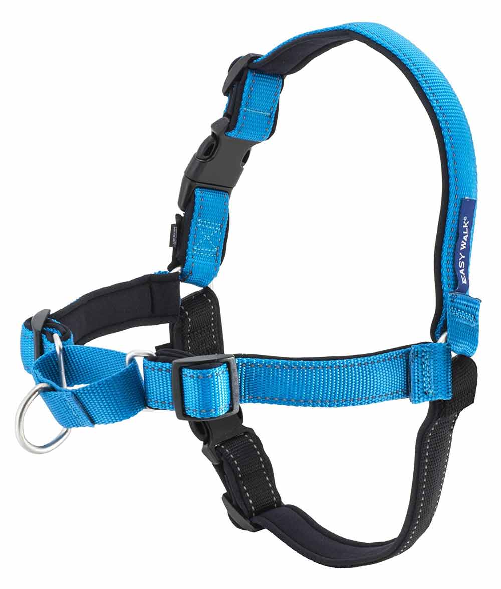 Petsafe Deluxe Easy Walk Harness Adventure Pup Essentials Trail and Kale