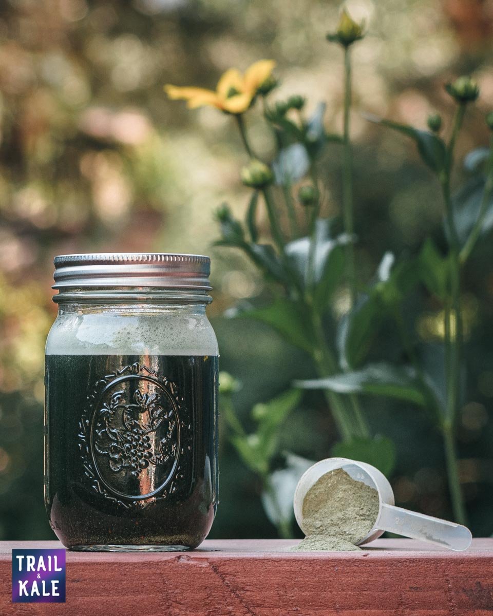 PlantRise Review Supergreens 72 Superfood Powder trail and kale web wm 15