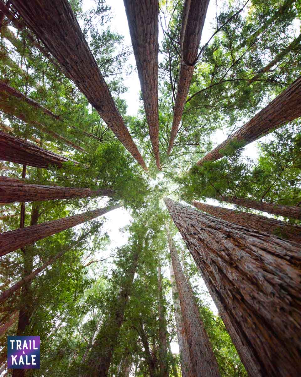 PrAna trail and kale web wm 6