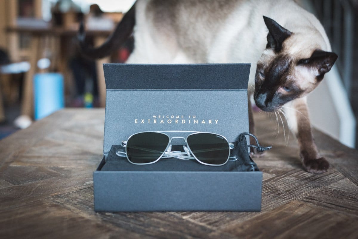 Randolph Aviators review Trail Kale