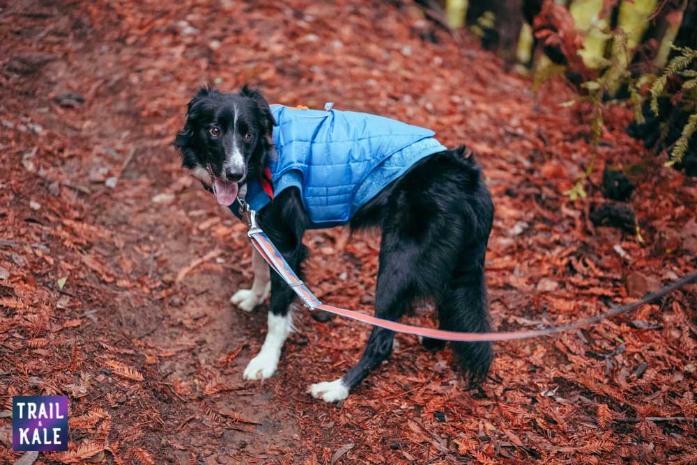 Redwood run hike Trail and Kale web wm 18