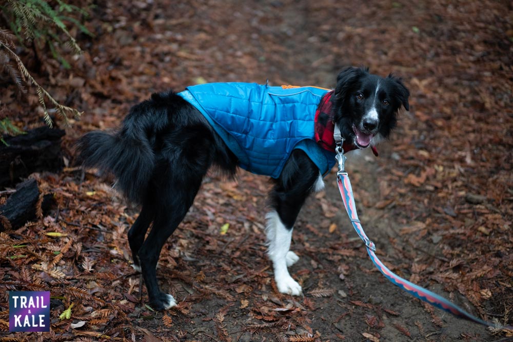 Redwood run hike Trail and Kale web wm 31